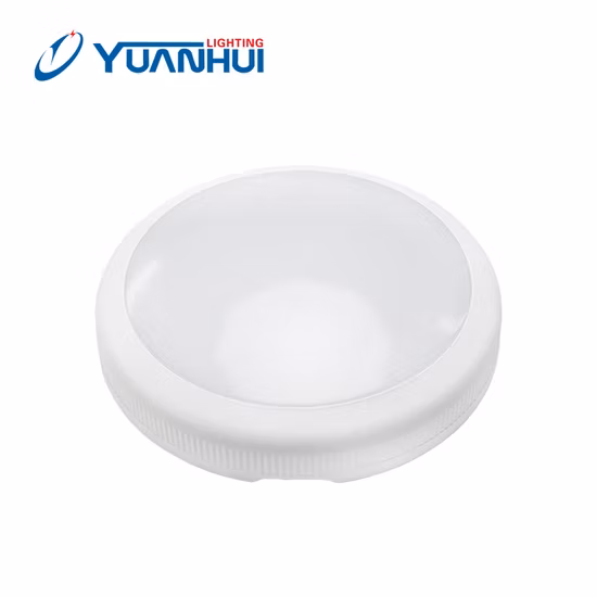 14W 20W 30W LED Wall Ceiling Microwave Sensor Ceiling Light with Modern Design